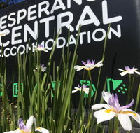 Esperance Central Accommodation - Holiday Jervis Bay