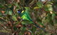 Banksia Tourist Park - thumb 15