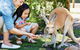 Banksia Tourist Park - thumb 29