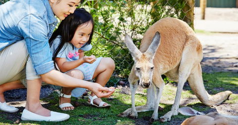Banksia Tourist Park - Holiday Jervis Bay 29