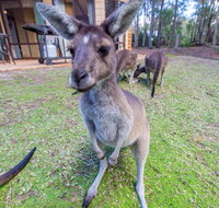 Yelverton Brook Eco Spa Retreat  Conservation Sanctuary - Holiday Jervis Bay