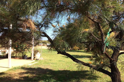 Ocean View Homestead - Holiday Jervis Bay 23