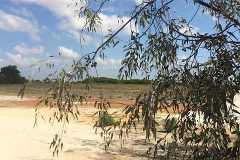 Ocean View Homestead - Holiday Jervis Bay 16