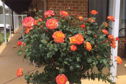 Ocean View Homestead - Holiday Jervis Bay 22