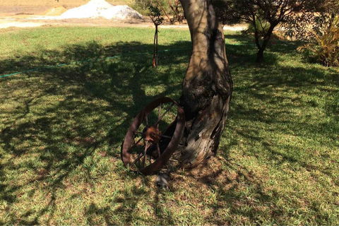 Ocean View Homestead - Holiday Jervis Bay 18