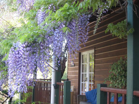 RoseMoore Bed & Breakfast - Holiday Jervis Bay 11