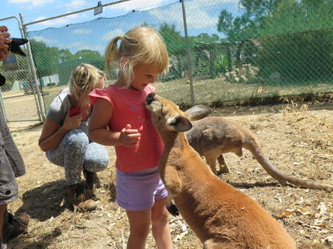 Jurien Beachfront Holiday Units - Holiday Jervis Bay 36