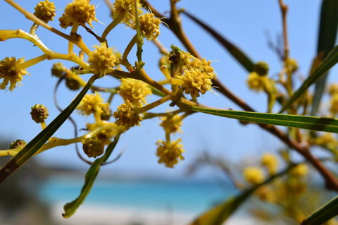 Eagle Bay House - Holiday Jervis Bay 28