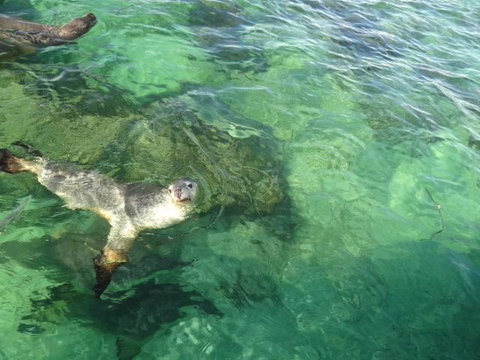 Acaciabnb - Holiday Jervis Bay 5