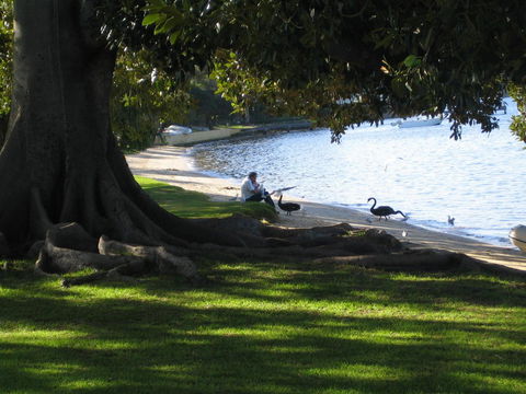 Garden Studio In Cottesloe - Holiday Jervis Bay 11