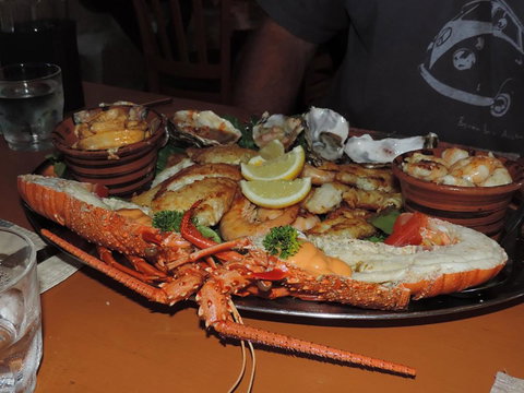 Wildsights Villas - Holiday Jervis Bay 13