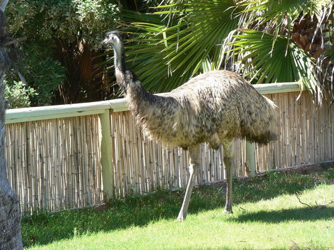 Wildsights Villas - Holiday Jervis Bay 29