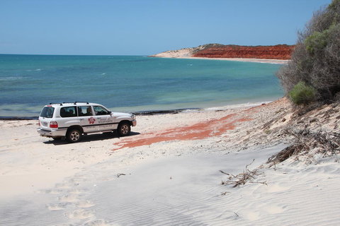 Wildsights Villas - Holiday Jervis Bay 12