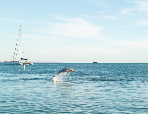 Wildsights Villas - Holiday Jervis Bay 11