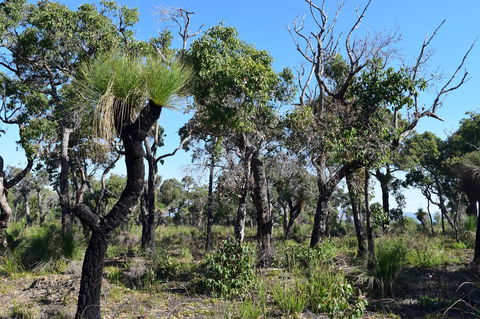 Eagle Bay House - Holiday Jervis Bay 25