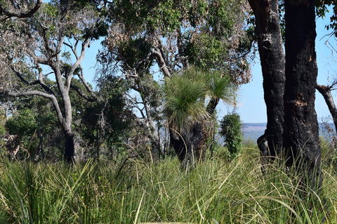 Eagle Bay House - Holiday Jervis Bay 23