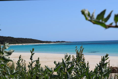 Eagle Bay House - Holiday Jervis Bay 13