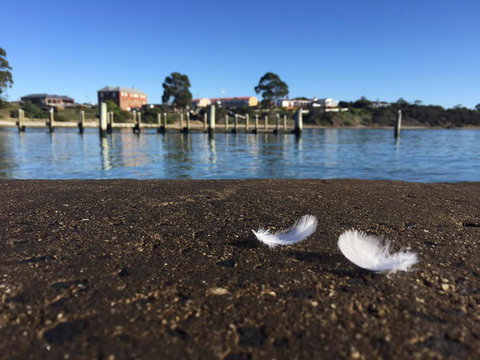 Swansea Holiday Park Tasmania - Holiday Jervis Bay 39