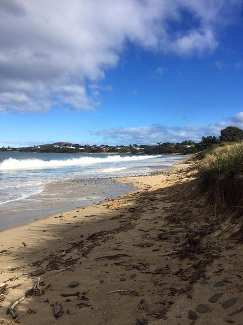 Swansea Holiday Park Tasmania - Holiday Jervis Bay 15