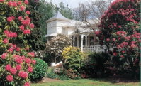 Book Scottsdale Accommodation Vacations Holiday Jervis Bay Holiday Jervis Bay