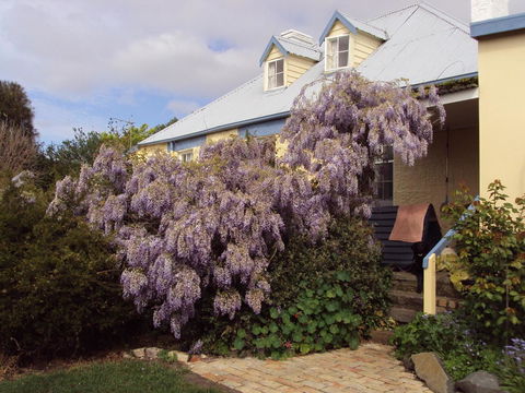 Orford's Sanda House B&B - Holiday Jervis Bay 40