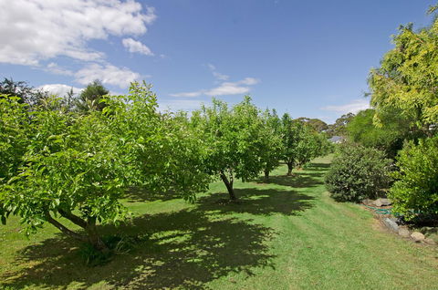 Orford's Sanda House B&B - Holiday Jervis Bay 37