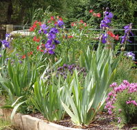 Karoola Cottage Self Contained - Holiday Jervis Bay