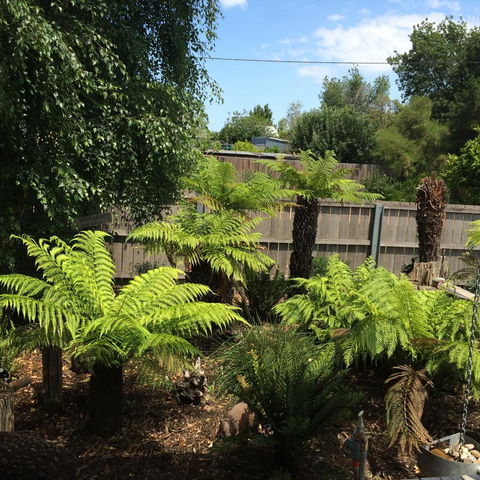 Pinestumps Holiday Home - Holiday Jervis Bay 14