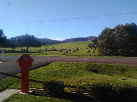 Pinestumps Holiday Home - Holiday Jervis Bay 11