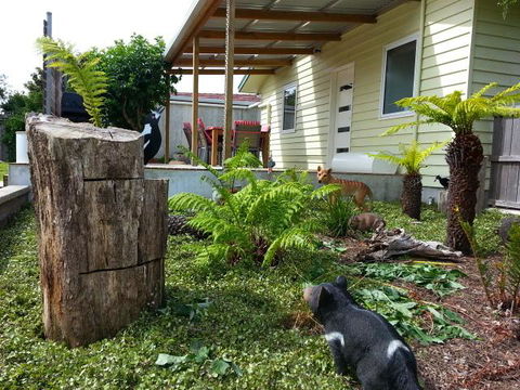 Pinestumps Holiday Home - Holiday Jervis Bay 12