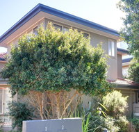 One Street Back from the Surf Beach - Holiday Jervis Bay