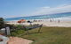 Palmy Sea Breeze - thumb 3