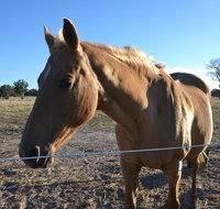 Penny's Place in The pyrenees - Holiday Jervis Bay