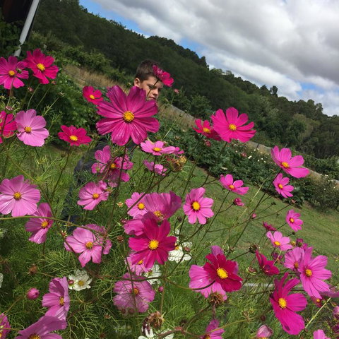 Pennyroyal Otways Retreat - Holiday Jervis Bay 3