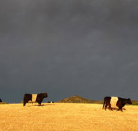 Peppertree Hill - Holiday Jervis Bay