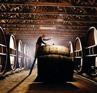 Pieter van Gent Winery  Vineyard - Holiday Jervis Bay