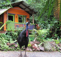 Rainforest Hideaway - Holiday Jervis Bay