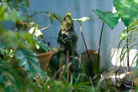 Serenity Guest House - Holiday Jervis Bay 3