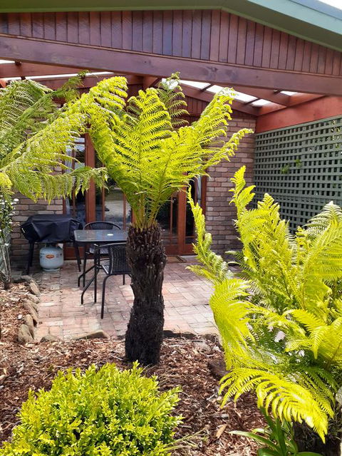 Sleepy Hollow Hideout (Hidout 2) - Holiday Jervis Bay 1
