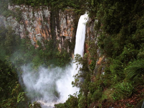 Springbrook Lyrebird Retreat - Holiday Jervis Bay 2