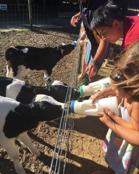 Sunflowers Animal Farm & Farmstay - Holiday Jervis Bay 3
