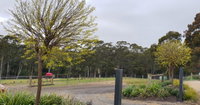 Book Lebrina Accommodation Vacations Holiday Jervis Bay Holiday Jervis Bay