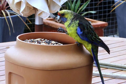 THE LOFT @ Bay Of Fires Seascape - Holiday Jervis Bay 22