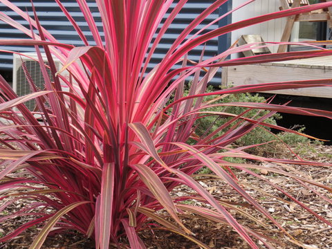 Captain Cook Holiday Park - Holiday Jervis Bay 15