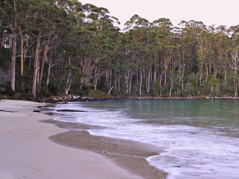 NRMA Port Arthur Holiday Park - Holiday Jervis Bay 41