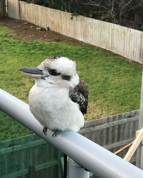 Seas The Day - Seaside Getaway - Holiday Jervis Bay 11