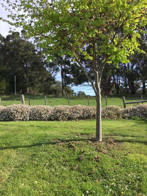 Nextdoor@portarthur - Holiday Jervis Bay 17