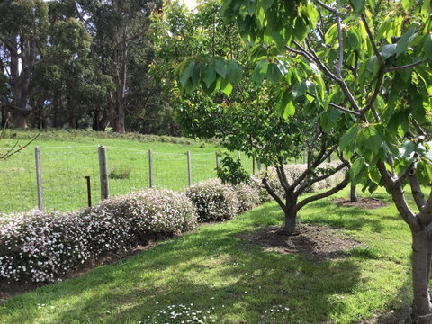 Nextdoor@portarthur - Holiday Jervis Bay 18