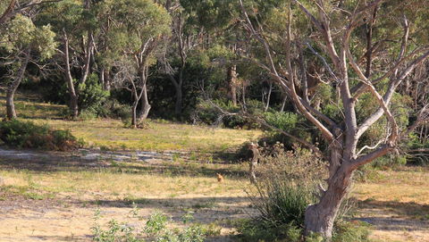 BAY OF FIRES SEACHANGE Ocean Frontage - Holiday Jervis Bay 12