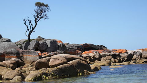 BAY OF FIRES SEACHANGE Ocean Frontage - Holiday Jervis Bay 21